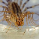 Platz 9 FZ Manheim Schlote Barbara 04